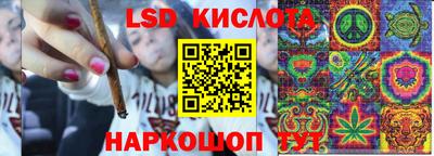 PSILOCYBIN Абакан